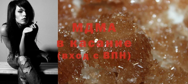 индика Алексин
