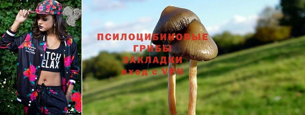 ALPHA PVP Алзамай