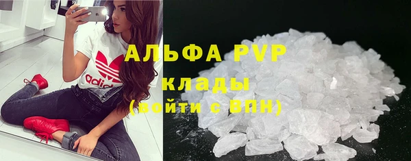 индика Алексин