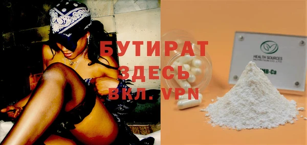 индика Алексин
