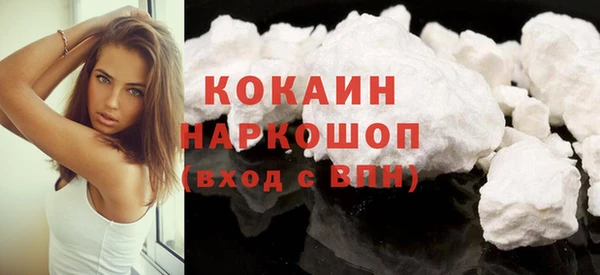 индика Алексин