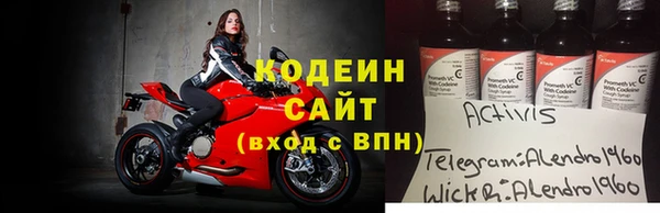 индика Алексин