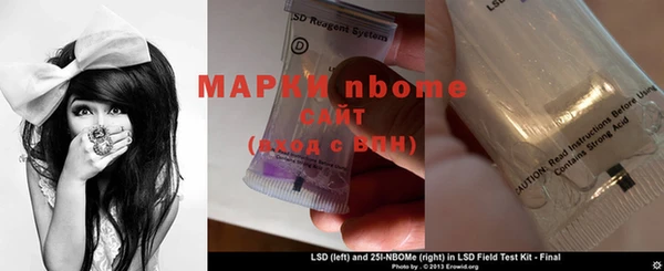 индика Алексин