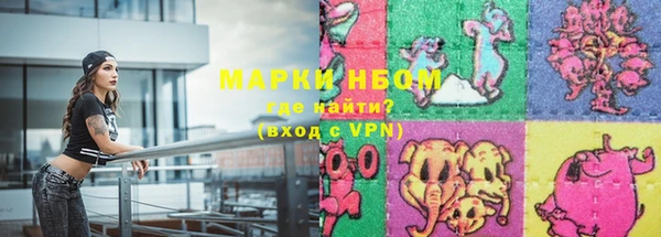 индика Алексин