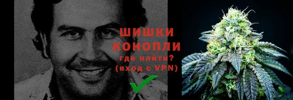 ALPHA PVP Алзамай