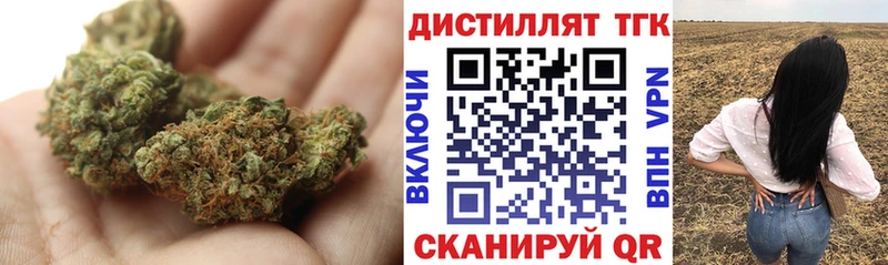 где можно купить   Елизово  ТГК вейп 