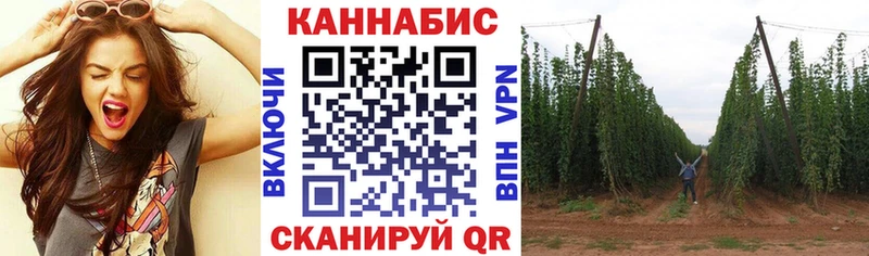 Шишки марихуана Bruce Banner  Елизово 